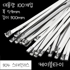 강력한 304 스테인리스 케이블타이, 실버, 100개