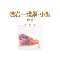 螞蟻帝國 繽紛海底礁岩晚霞石膏巢 小型一體式立體雙面 #養螞蟻 #蟻巢 新版上蓋, 1個