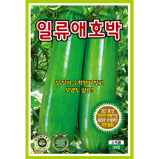 호박 씨앗 모음 종자 맷돌 쥬키니 미니꿀, 05. 일류애호박, 2개