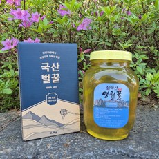 설악산 명월꿀 사양 벌꿀 아카시아꿀, 1개, 2.4kg