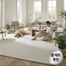 라모니 물세탁 가능한 거실 먼지없는 사계절 카페트 안전인증 특대형 러그