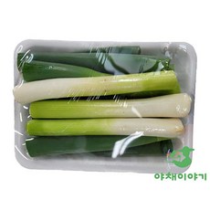 야채이야기 손질대파 1팩 300g 깐대파, 1개