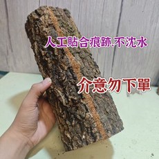 【香檳木 樹洞】爬蟲樹洞 蜥蜴 蛇 烏龜 手工樹洞爬蟲類躲藏配備 不沉水, 1個, 10*15cm