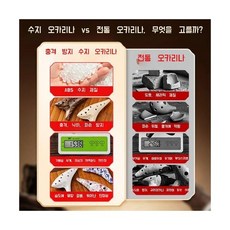 청오카리나 초보자 전문 악기 맑은소리 감성 액세서리 연주용 12홀 취미, A. 흰 얼음 세트, 1개