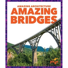 Amazing Bridges, Pogo Books