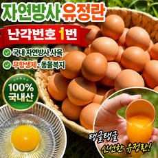 [산지픽] 난각1번 자연산란 유정란 비타민E 노른자 진한 무항생제 동물복지 유정란, 40구, 1개, 40구