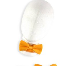 나비 넥타이 노랑 남아보타이 웨딩넥타이 아기넥타이