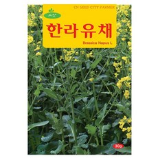 한라 유채 씨앗 유채씨 30g, 3개