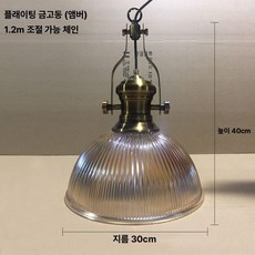 철제 유리 펜던트 복고풍 카페 천장조명, 300 대형 플래이팅 골든 앤티크 코퍼 엠버