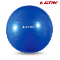 헬스 짐볼 55cm (블루) jja*23731Uv, 1개