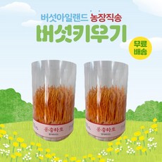 버섯키우기, 2개