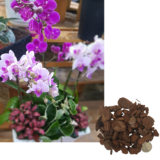 광림 자연숙성 바크 중립 서양란 분갈이전용 소나무 원예용 호접란 아로니아 블루베리나무밑깔기, 6L, 1개