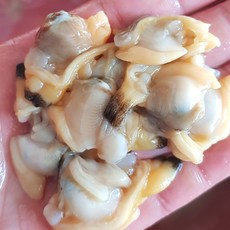 남해안 깐 바지락살 생 바지락살 손질 조갯살 무침 국물요리 바지락국 바지락 바지락요리 바지락술국 조개국 오올블루, 1개, 300g