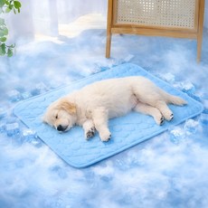 다성 반려동물 쿨링 애견 매트 쿨방석, 1개, 블루