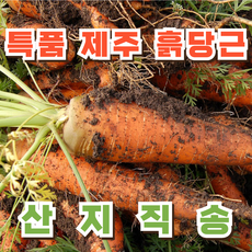 [타임특가] 국내산 제주 구좌 흙 당근, 1개, 10kg