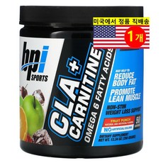 BPI스포츠 CLA 공액리놀렌산+카르니틴 파우더 350g, 1개
