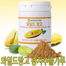 종자추출분말 100g 와일드망고 와일드망고분말 [1EA] jj0*70847XP, 1개