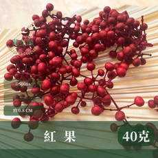 小份量紅果乾燥花材，約40克，聖誕節裝飾花材，DIY花藝材料，紅色果實，節慶裝飾