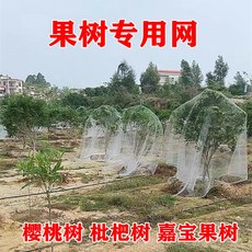 果樹防鳥網 櫻桃樹網 嘉寶果樹防鳥網 家用防鳥網 果園防護網, 15米寬×15米長 用於4米果樹