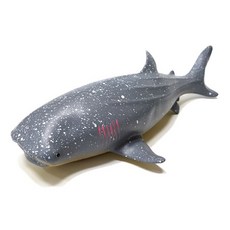 sg 소프트해양(중) 고래상어 동물피규어 아기장난감, 1개