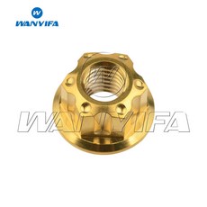 Wa ifa 티타늄 너트 M6 M8 M16 패스너 25 피치 M14 육각 플랜지 M12 Ti Torx M10, M10 P1 25, 금