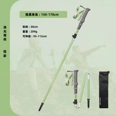 Pioneer 開拓者 新款消光系碳纖維 鋁合金五節登山杖 2入附杖袋 四色任選, 1個, 消光薄荷-短款