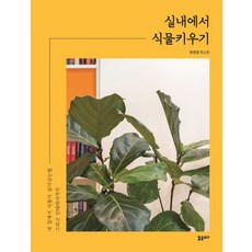 실내에서 식물키우기, 플로라