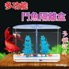 一心 鬥魚隔離盒 鬥魚 半月 橄欖葉 水族箱, 1個, 單隔