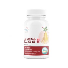 유쎌몰 산양삼 정 600mgx60정 균형영양 진세노, 60g, 1개