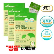 네이처맥스 은행잎추출물 징코빌로바 메모리 플러스 기억력개선 혈액순환 6개월분, 1정, 180개