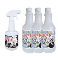 정품 초강력 피비원 pb-1 용기1+리필3 세트, 피비원 일반 용기1+리필3 세트, 1개