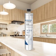 EVERPURE H-104濾心《原裝進口》美國黑水保固，有效濾除雜質異味，新舊包裝隨機出, 1個, 單入裝(售出無保固, 單入裝(售出無保固