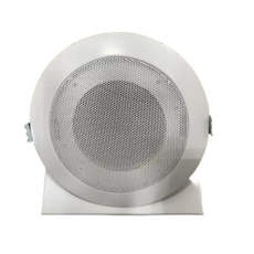 【大林電子】PG-501ST 崁頂喇叭 吸頂喇叭 5吋 鐵網