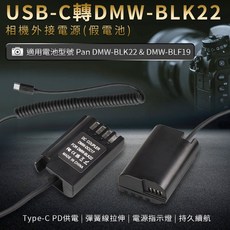 Pan DMW-BLK22 假電池 USB-C PD供電, 1個, 假池電