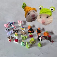 곰찌 [미니 니트모자] 햄스터모자 25종 소동물 햄생샷 미니어쳐 골든 드워프 고슴도치 기니피그 파충류 앵무새, 레인보우, 1개