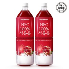 참앤들황토농원 NFC 착즙원액 석류즙, 1L, 2개