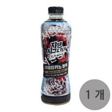쟈뎅 JD119)쟈뎅 시그니처 아메리카노 블랙, 900ml, 1개