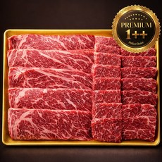 쇠고기집 프리미엄 1++ 투플 한우 구이용 모듬세트, 1개, 600g