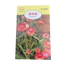 天星 SkyStar® 麥桿菊種子 F-510 家庭園藝花卉種子, 1個