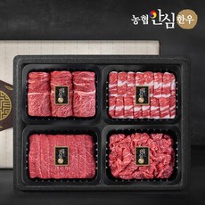 [농협안심한우] 1등급 한우 선물세트 1.2kg 꽃등심 차돌박이 실속구이 불고기, 1세트