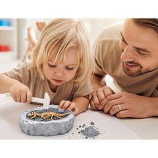 플라잉타이거 코펜하겐 공룡화석 발굴키트 장난감 어린이 놀이 체험 화석 장난감 과학