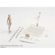 웹툰 스케치 인물표현연습 데생 피규어 인체모형 관절인형 예술용품 드로잉 스케치참고 제품 크로키, 3.SHF 스킨컬러 여성 바디 디럭스