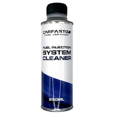 CARPARTGO 燃油噴射系統清潔劑 CA-303 有效清除積碳、暢通油路、提升馬力 250ml, 1個, 僅限汽油