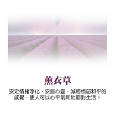QIDINA 香氛噴霧, 1個, 薰衣草