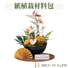 紙模型 鶴舞春禧 紙植栽材料包, 1個