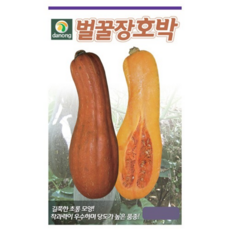 벌꿀장호박씨앗 - 60립/ 단호박 호박 밤호박 나트륨배출 붓기제거에 탁월 / DW1, 1개