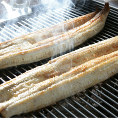 [한정특가] 영양가득 당일손질 자연산 통영바다장어, 1개, 1kg(손질후650g내외)