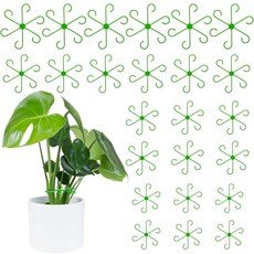 Chunful 24피스 식물 줄기 지지대 4가지 사이즈 등반 관엽식물 홀더 재사용 가능한 플라스틱 꽃 격자 후크 관리 성장 액세서리 실내 실외용 158698 831787514