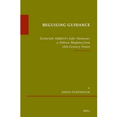 (英文圖書)Beguiling Guidance 精裝版, Brill, 英文