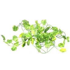 2M 긴 인공 식물 녹색 아이비 잎 인공 포도 덩굴 가짜 Parthenocissus 단풍 잎 홈 웨딩 바 장식, 베고니아,녹색, 2개
